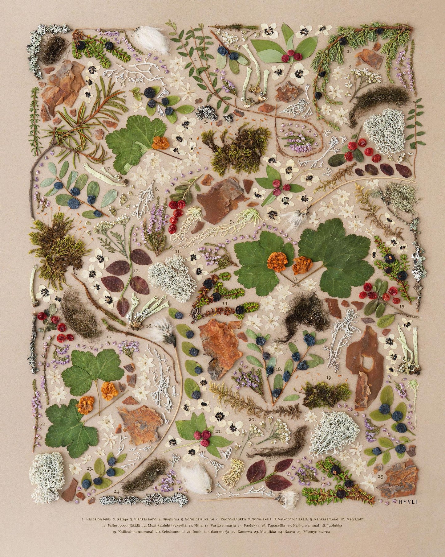 Sisustusjuliste, Lapin valo