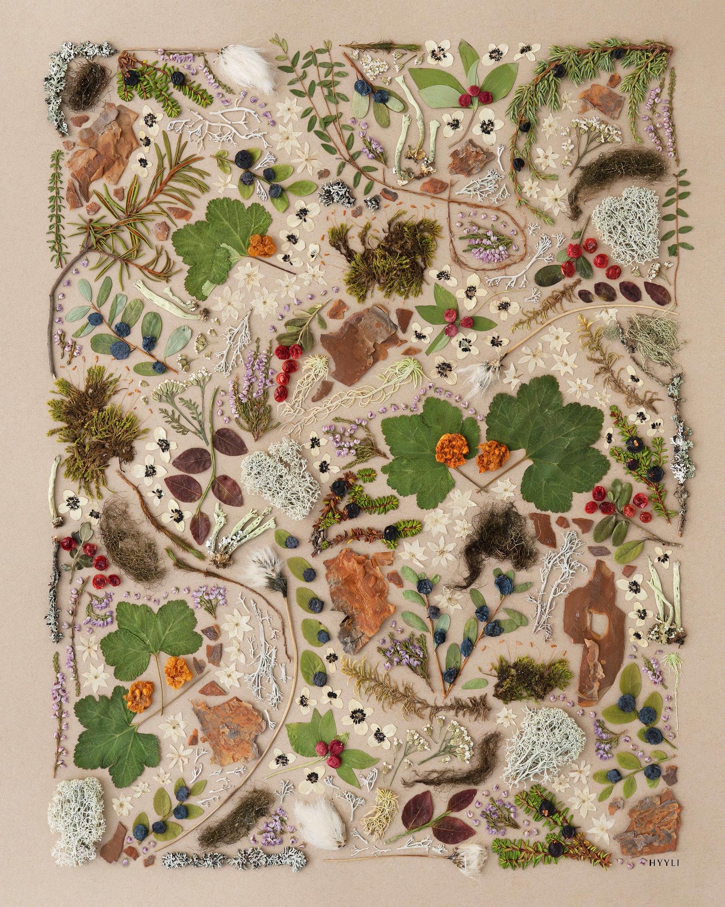 Sisustusjuliste, Lapin valo